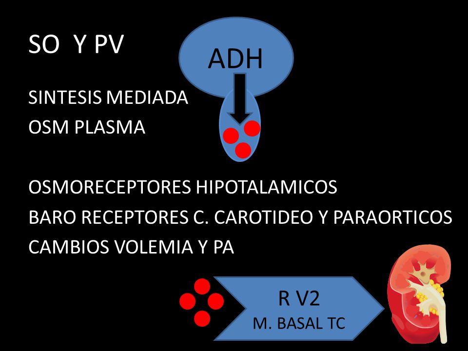 siadh vs pérdida de sal cerebral vs diabetes insípida